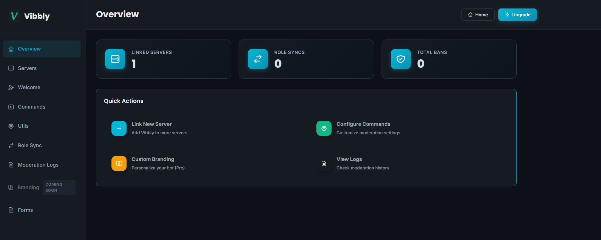 Vibbly Discord Dashboard Interface Preview - Shows server management controls and settings